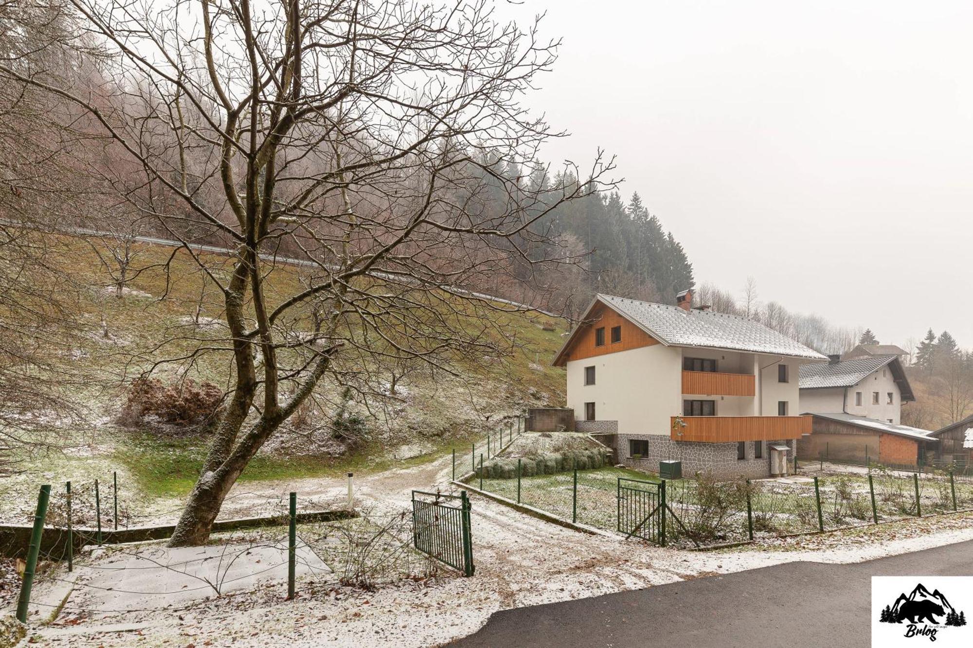 Brlog Apartment Zgornje Gorje Exterior photo
